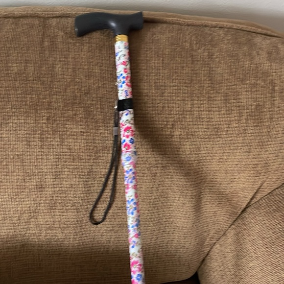 Cane - Picture 2 of 4